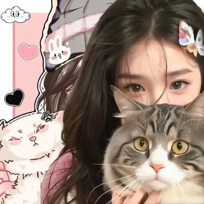 功夫梦：融合之道